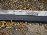 image of grave number 199100